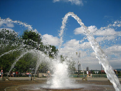 Fountain of Youth