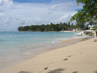 Beach View