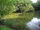 Hadley Green pond.jpg