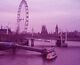 PurpleLondon004