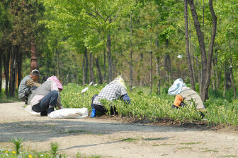 Keep the park beautiful