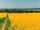 Sustainability Appraisal for South East England