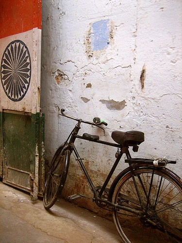 share the road cycling coalition