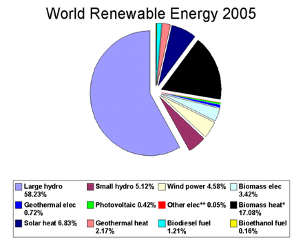 World renewable energy 2005