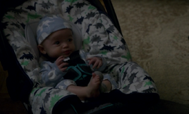 7x11 - Robin 01