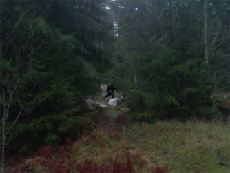 The Troll-photo called "Fanskapet".