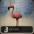 TWIY Pelican thumbnail