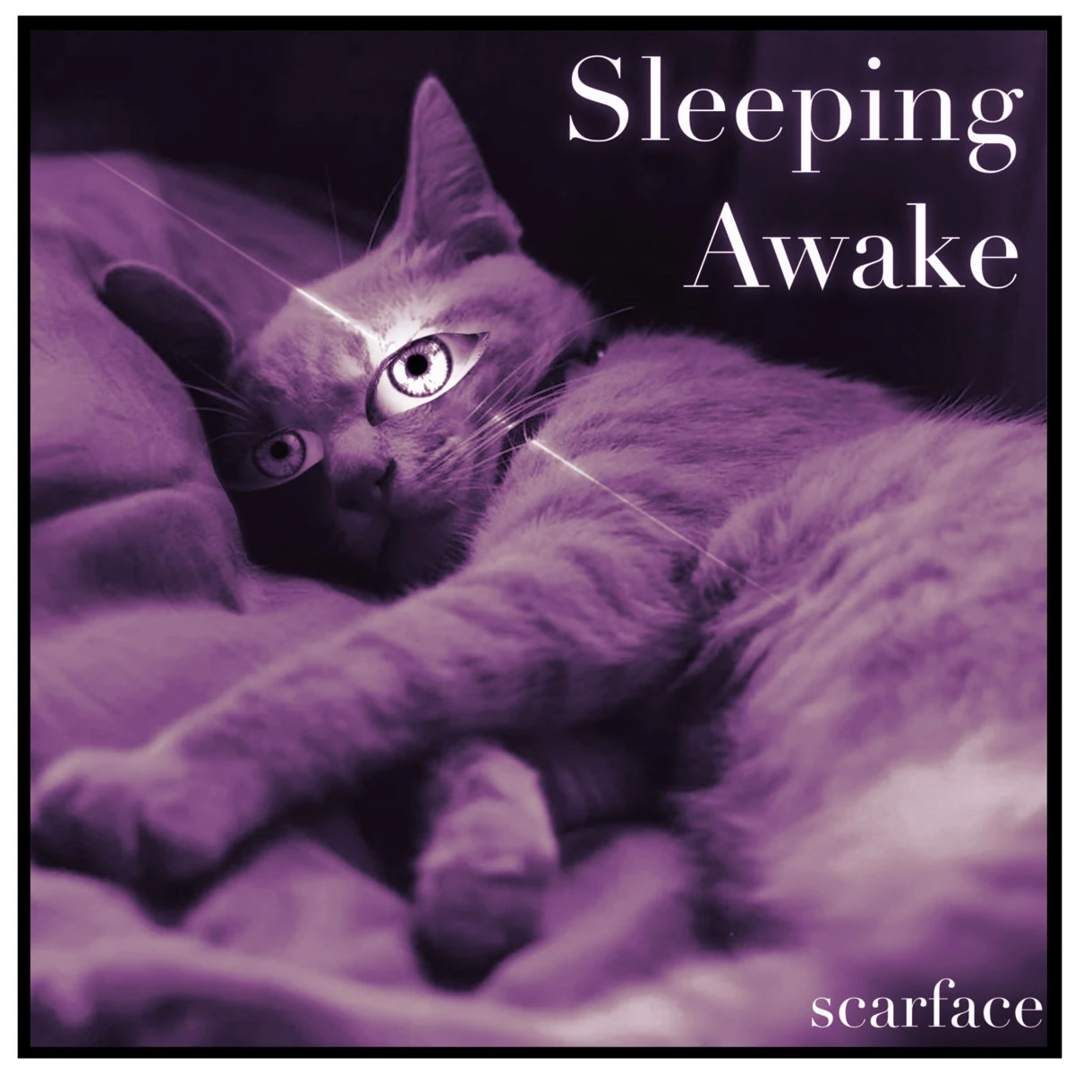 Sleeping Awake | 4:58 PM Wiki | Fandom