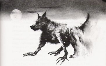 Little Black Dog.jpg