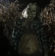 Harold film.webp (1.01 MB)