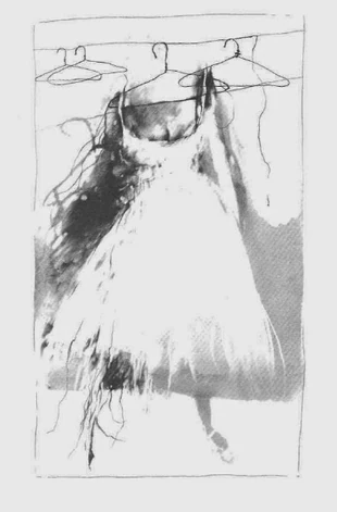 The White Gown