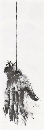 Dead Man's Hand