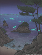 Shiranui