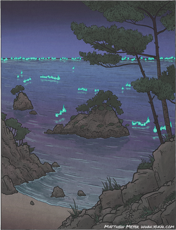 Shiranui