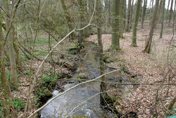 Loitze