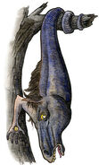 Sagari