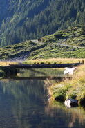 Riesachsee