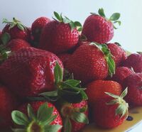 Erdbeeren