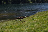 Riesachsee