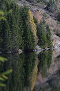 Riesachsee