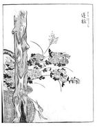 Sakabashira