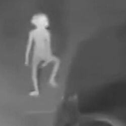 La Junta Goblin