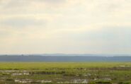 Galenbecker See
