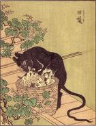 Kyūso