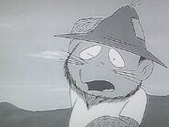 Kawauso