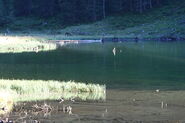 Riesachsee