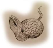 Tsuchinoko