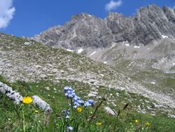 Noppenspitze