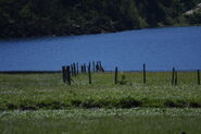 Riesachsee