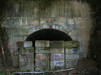 Inunakitunnel01.jpg