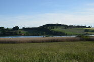 Drachensee