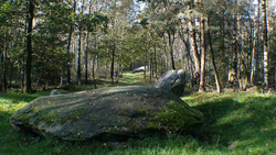 König Och Stein