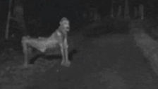 Skinwalker.jpg
