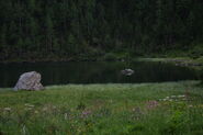 Riesachsee