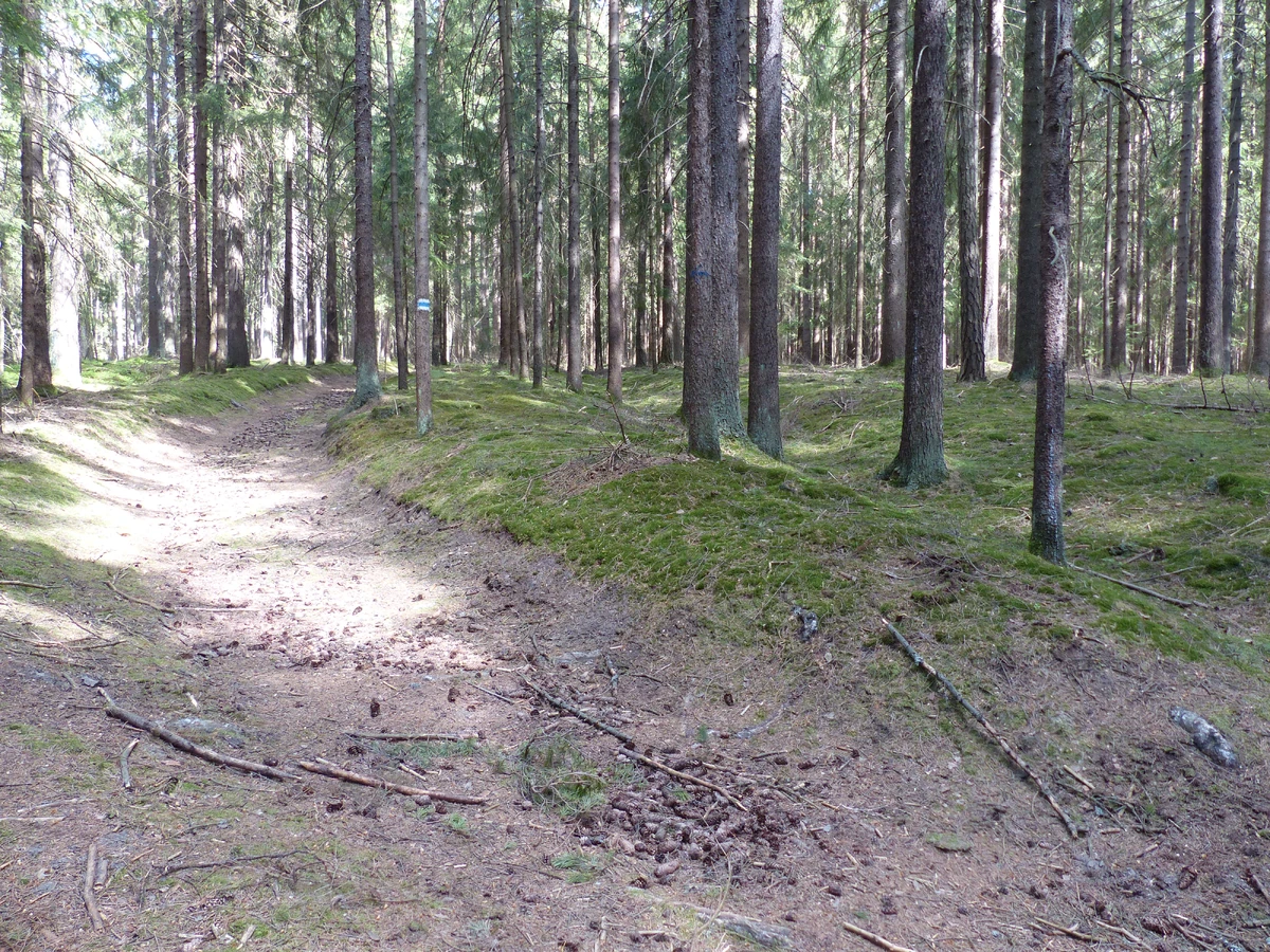 Zeitelmoos ScaryWiki Fandom