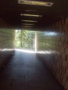 Rattenmann-Tunnel
