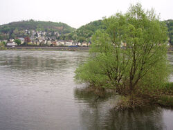 Rhein