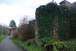 Stadtmauer Höxter