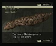 Tsuchinoko