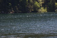 Riesachsee