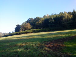 Womburgruine