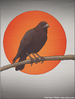 Yataragasu