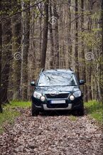 Auto auf Waldweg