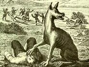 Monster von Gévaudan