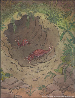 Tsutsugamushi