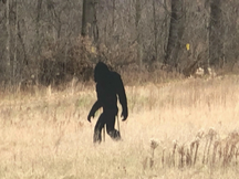 Bigfoot.jpg